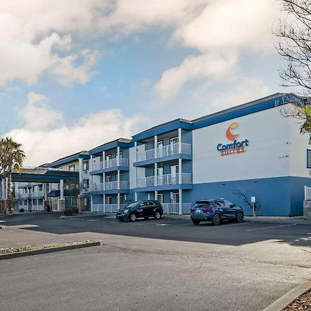 Comfort Suites Red Bluff Near I-5 Buitenkant foto